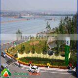 Anti-cancer Organic Wholesale Competitive Shiitake Mushroom Export Price thumbnail-1