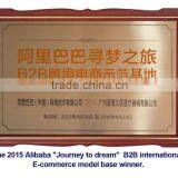 MSLGA02W Portable Vet Anesthesia Machine With External and Reusable Soda Lime Canister thumbnail-2