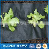 Big Discount Cheap Price Black Plastic Agriculture Weed Control Mat thumbnail-5