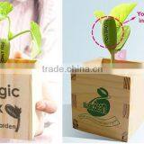 Birthday Gift Ideas Magic Logo Bean Plant, Custom Message Bean Plant thumbnail-5