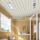 china interior home plastic composite ceiling wall decorative, install plastic ceiling