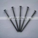 3inch Bright Polished Common Iron Nail/common Nail With Head thumbnail-1