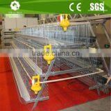Automatic Poultry Equipment Chicken Breeding Coops a Type Cages