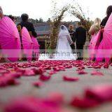 Chinese Classical Paper Folding Umbrella