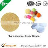 Halal Medical Gelatin/pharmaceutical Gelatin/bovine Skin Gelatin