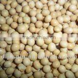 Soybean 2011 Crop thumbnail-1