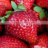 FRESH STRAWBERRY