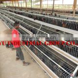 TAIYU Designs for Chicken Houses Abroad Farm Sample in Nigeria Kenya Uganda and so on