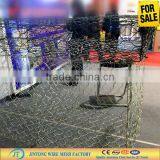 Hexagonal Mesh Fabric/ PVC Coated Chicken Wire Mesh (ISO9001 Manufacturer ) thumbnail-1