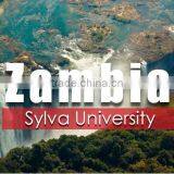 INEO Successful University Canteen Projects In Zambia thumbnail-1