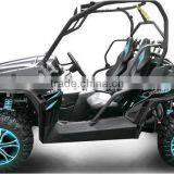 BUGGY 800 thumbnail-2