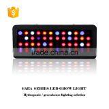 Full Spectrum Hydroponic Greenhouse LED Grow Light thumbnail-4