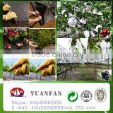 Top Quality Spunbond Nonwoven Fabric for Weed Control Fabric / Landscape Fabric / Plant Cover thumbnail-4