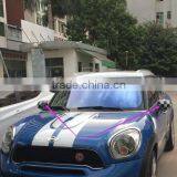 OEM Auto Decorations thumbnail-1