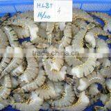 Black Tiger Shrimps HLSO thumbnail-1