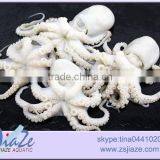 Frozen Baby Octopus Whole Cleaned thumbnail-2