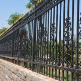 Окрасительная садовая ограда, предварительно изготовленная стальная ограда thumbnail-1