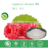 hot sell raspberry extract raspberry ketones 98%