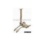 ZY-A69 Multifunction Mechanism,chair Accessory,office Chair Part thumbnail-1