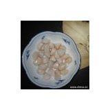 Sell Frozen Bay Scallop Adductors thumbnail-1
