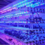 QT-LED1218 Plant Fill Light Lamp thumbnail-2