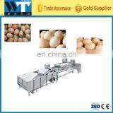 High Quality Egg Cleaning Machine,egg Washing Machine thumbnail-2