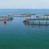 Floating Aquaculture Fishing Cage Floating Fish Cage Anti-wind thumbnail-1