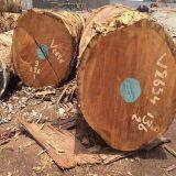 Cheap Kosso / Sapelli / Tali / Teak / Pachyloba Wood Logs thumbnail-3