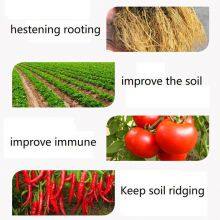 High Purity Plant Growth Regulator 1-naphthaleneacetamide Nad 98%TC thumbnail-2