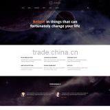 Webdesign Content Management System thumbnail-3