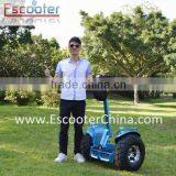 Electric chariot x2, lithium battery electric self-balancing scooter with one year warranty