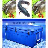SCC Brand Fish Cold Storage,frozen Fish,fish Bowl thumbnail-1