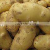 New Crop Frozen Potato With High Quality thumbnail-1