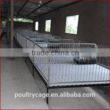 Hot Sale Commercial PVC Pig Farm Equipment Pig Farrowing Crate thumbnail-2