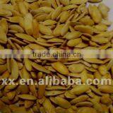 Melon Seed for Planting thumbnail-1