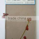 Tinted Float Glass Price With ISO9001 Cerficated thumbnail-1
