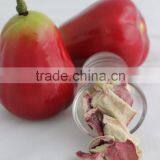 FD Roseapple [ Certified HACCP , ISO 22000 , GMP , HALAL & KOSHER ] thumbnail-4