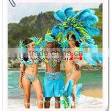 ZPDECOR No.1 Supplier in China Factory Exporting Wholesale From 6-8'' Dodger Blue Ostrich Feathers Plume thumbnail-4