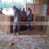 Coconut Fibre thumbnail-3