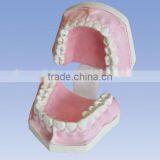 Small Tooth Hygiene Set