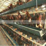 Later Egg Chicken Cage thumbnail-1