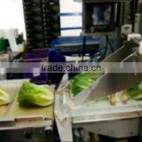 Multi-functional Fresh Aubergines Packing Machine/Flow Vegetable Wrapping Machine thumbnail-5