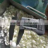 40kg/h Automatic Chocolate Shaving Machine/chocolate Slicing Machine thumbnail-1