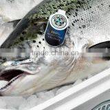 Atlantic Salmon thumbnail-2