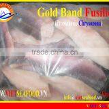 FROZEN GOLD BAND FUSILIER FILLET thumbnail-1