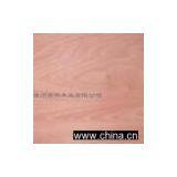 Bintangor Plywood thumbnail-1