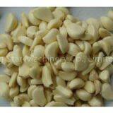 Garlic Peeler thumbnail-2