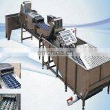 High Quality Egg Cleaning Machine,egg Washing Machine thumbnail-3