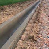 Baoying Drainage Ditch Slipform Machine/trapezoidal Channel Forming Machine/rectangular Side Ditch Slipform Machine thumbnail-2