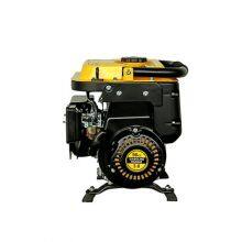Small Gasoline Generator